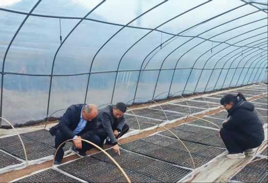 图为烟技员探讨育苗水肥管理要点