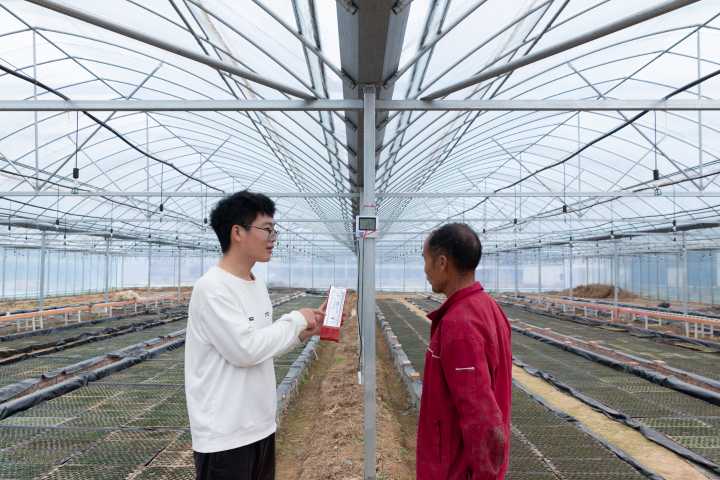 技守田畴暖意长