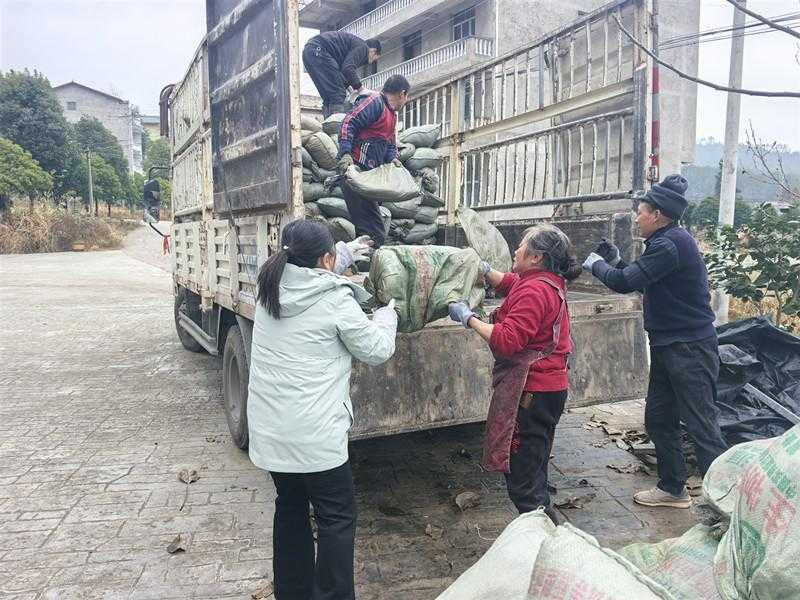 重庆万州区局（分公司）扎实推进地膜回收工作